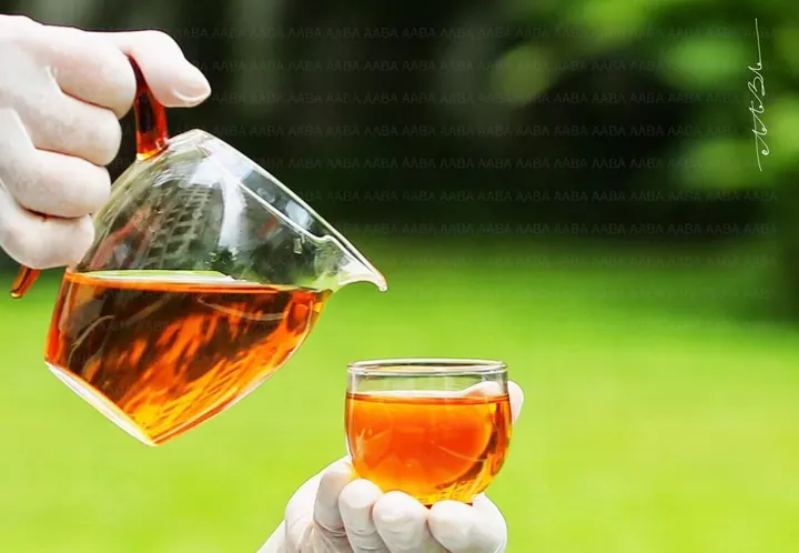 Đây là màu nước đầu của Hồng trà cổ ngàn năm, vùng rừng trà cổ Lâm Thương. · 23.09.2023