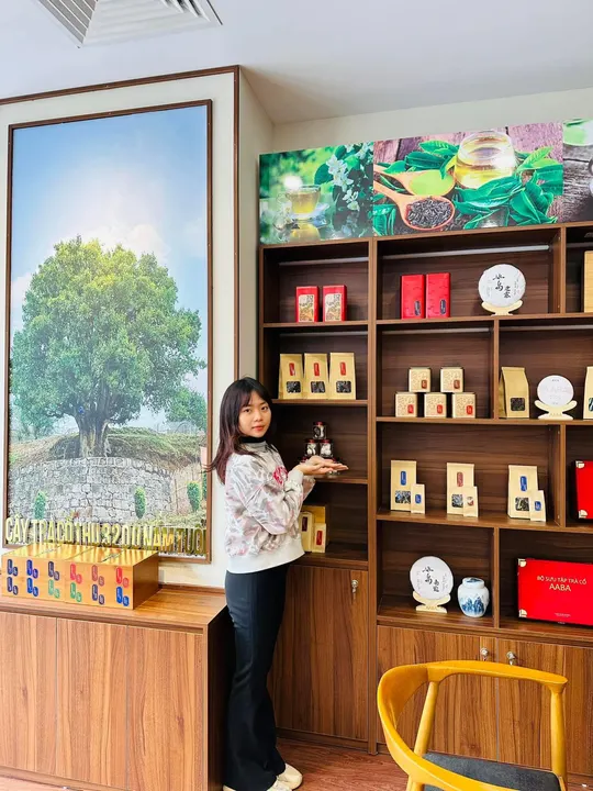 AABA THIÊNG CỔ TRÀ tại Hà Nội · 24.12.2023