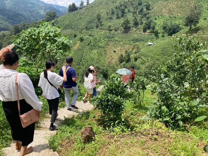 Sáng nay đoàn các hm đi thăm quảng trường trà Bingdaolaozhai, các hm… · 26.07.2024