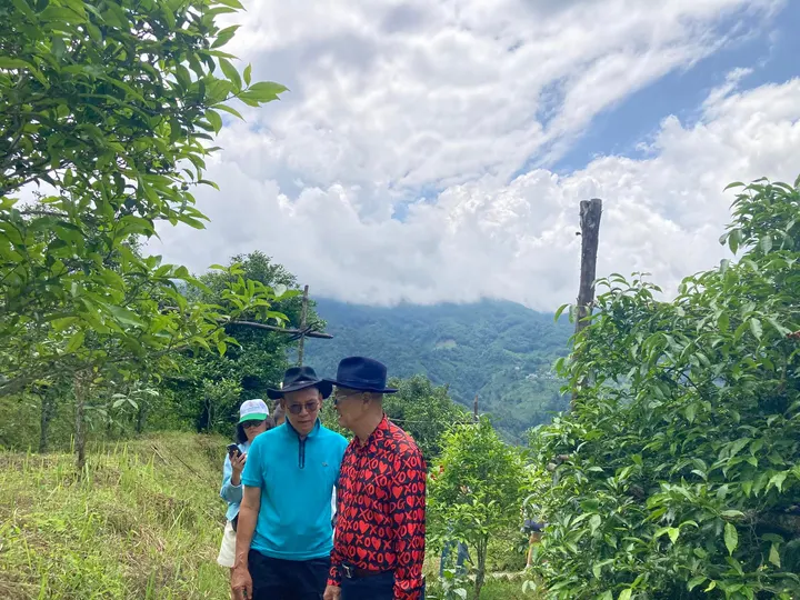 Sáng nay đoàn các hm đi thăm quảng trường trà Bingdaolaozhai, các hm… · 26.07.2024