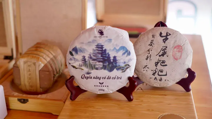 Hớp một ngụm trà, hàng ngàn con đường tương lai tươi sáng được mở ra trong trí não. · 03.09.2024