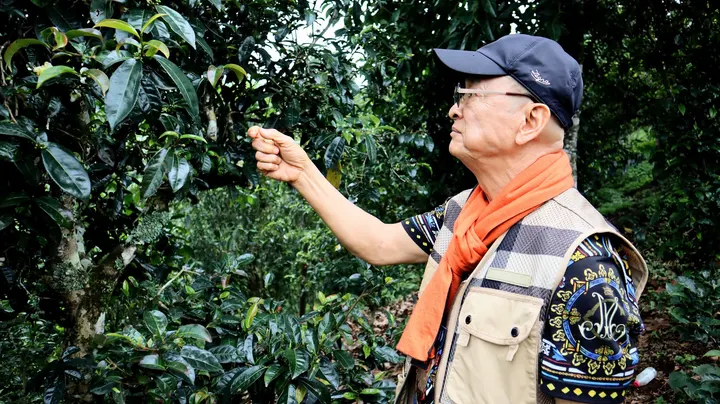 TẦM NHÌN VÀ Ý NGHĨA QUỐC GIA CỦA DỰ ÁN TRỒNG HẠT GIỐNG AABA THIÊNG CỔ TRÀ · 03.12.2024