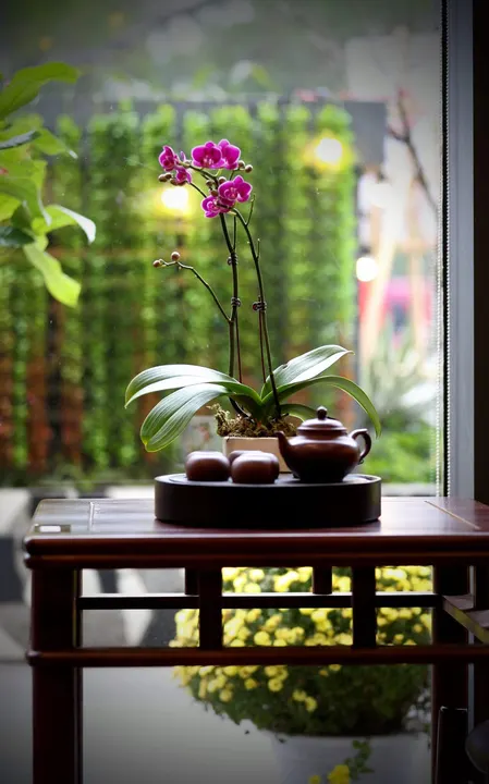 TẠI SAO AABA NÓI RẰNG NẾU MỘT NGƯỜI ĐÃ CÓ NGHỀ LÀM KINH TẾ, LÀM THÊM… · 25.02.2025