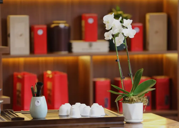 TẠI SAO AABA NÓI RẰNG NẾU MỘT NGƯỜI ĐÃ CÓ NGHỀ LÀM KINH TẾ, LÀM THÊM… · 25.02.2025